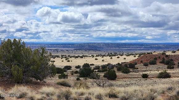 7.4 Acres of Residential Land for Sale in Sanders, Arizona