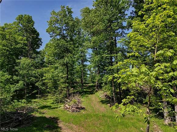 33.9 Acres of Recreational Land for Sale in Mount Vernon, Ohio