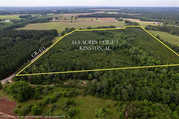 44.8 Acres of Agricultural Land for Sale in Kinston, Alabama