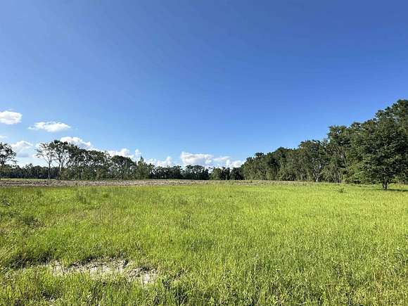 15.7 Acres of Land for Sale in Pinetta, Florida