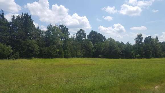 66 Acres of Recreational Land & Farm for Sale in Elberton, Georgia