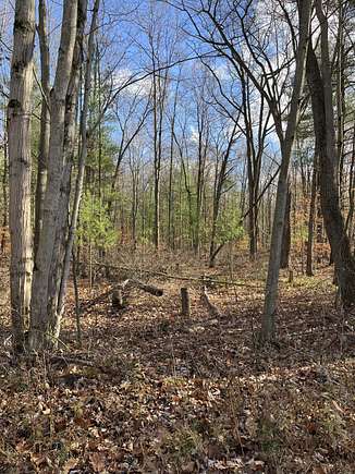 10 Acres of Residential Land for Sale in Allegan, Michigan