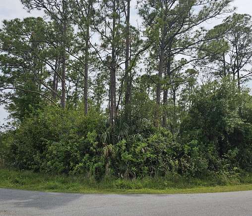 0.29 Acres of Residential Land for Sale in Palm Bay, Florida