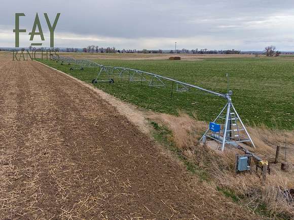 159 Acres of Agricultural Land for Sale in Henry, Nebraska