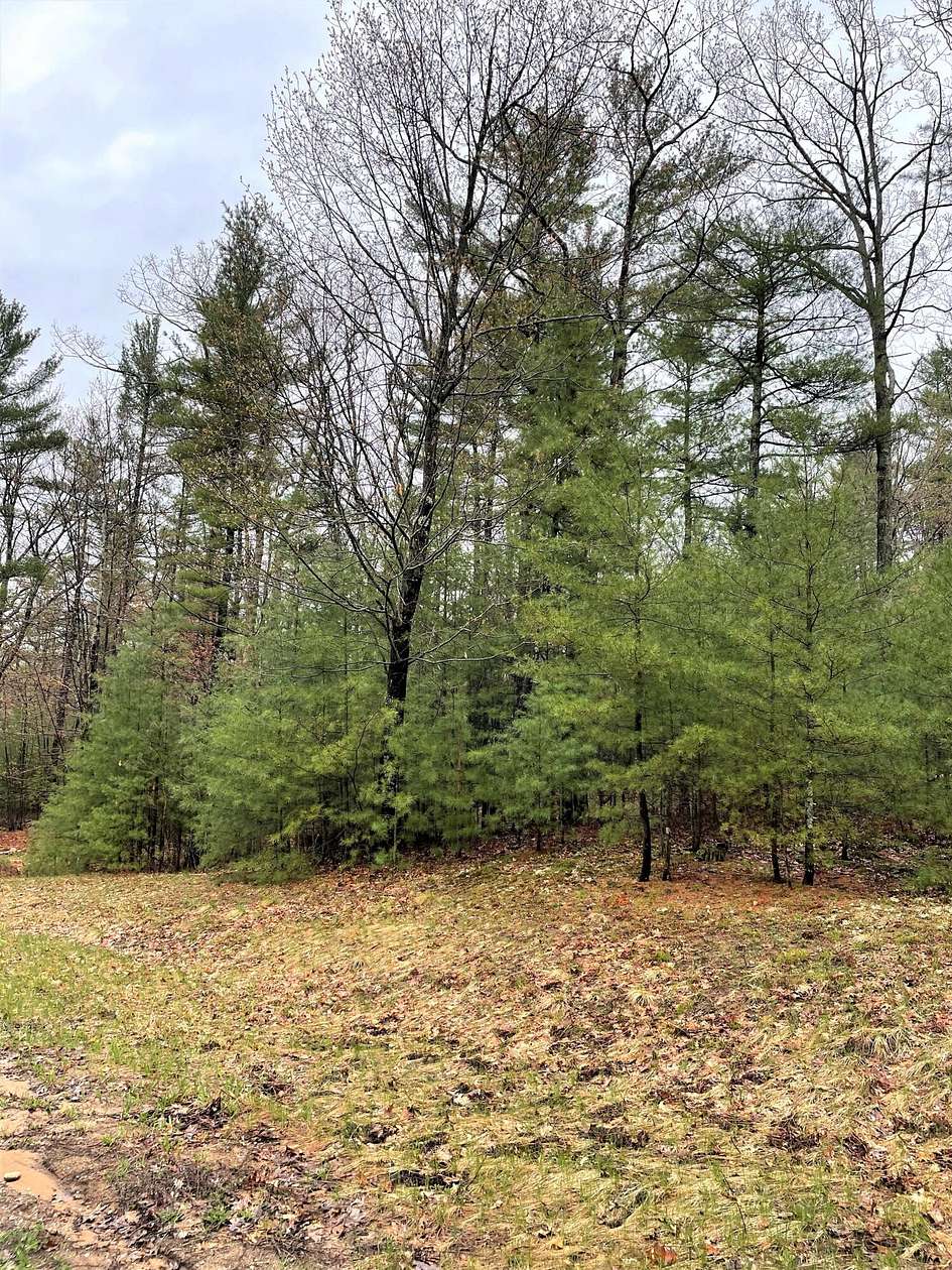Land for Sale in Indian River, Michigan