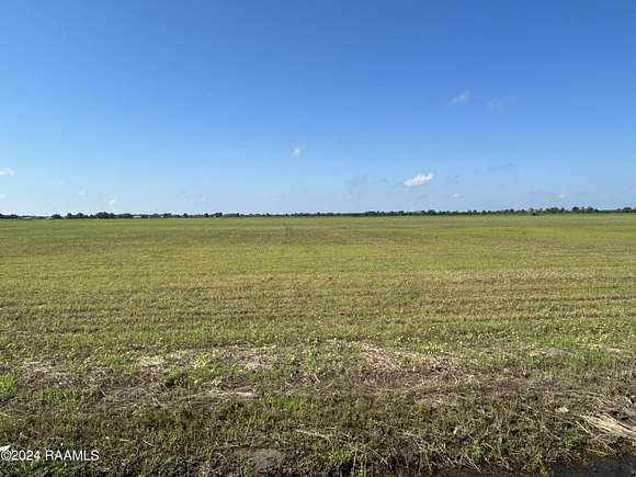 6 Acres of Residential Land for Sale in Rayne, Louisiana