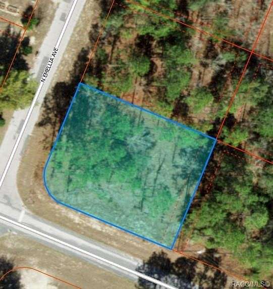 0.29 Acres of Residential Land for Sale in Citrus Springs, Florida