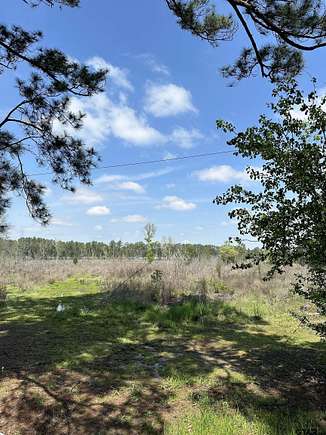 46 Acres of Agricultural Land with Home for Sale in Palestine, Texas