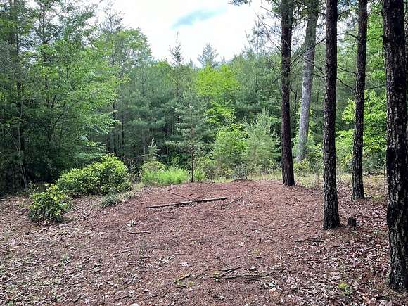 Land for Sale in Murphy, North Carolina