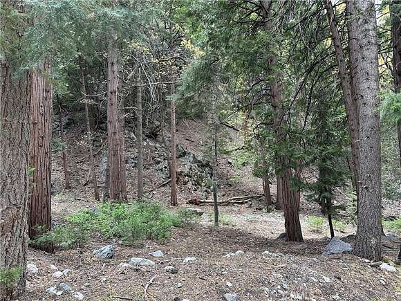 0.403 Acres of Residential Land for Sale in Forest Falls, California