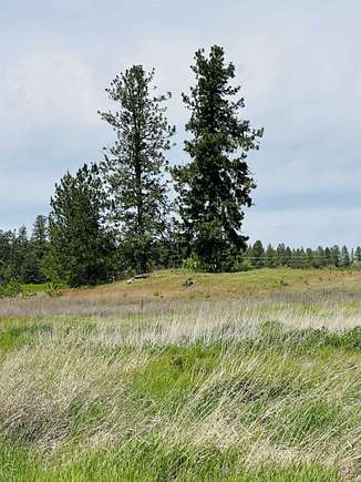 10 Acres of Residential Land for Sale in Colbert, Washington