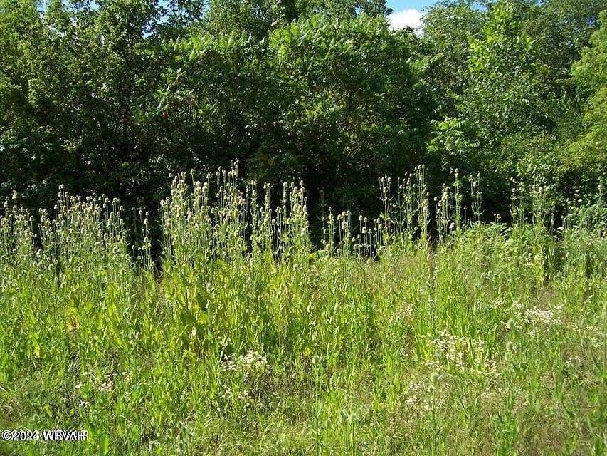 0.58 Acres of Residential Land for Sale in Mill Hall, Pennsylvania