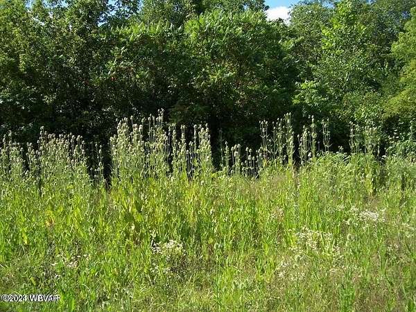 0.58 Acres of Residential Land for Sale in Mill Hall, Pennsylvania