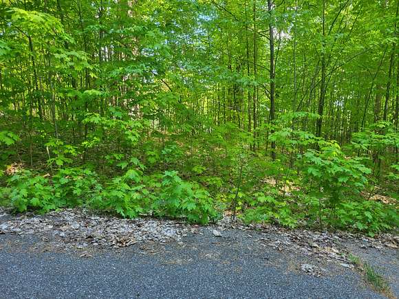 Residential Land for Sale in Vanderbilt, Michigan