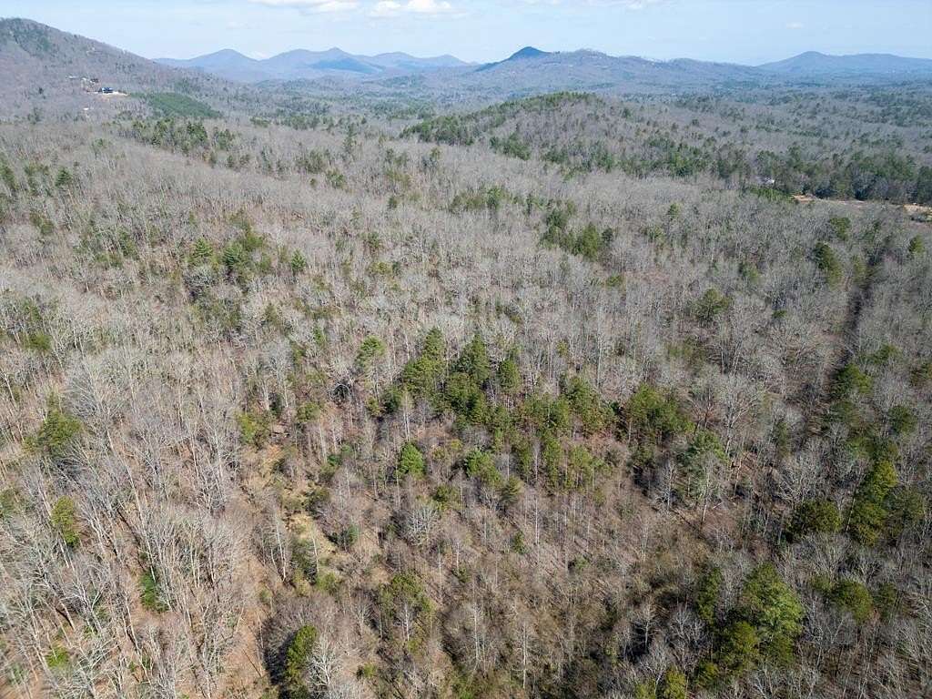 64.9 Acres of Recreational Land for Sale in Mineral Bluff, Georgia