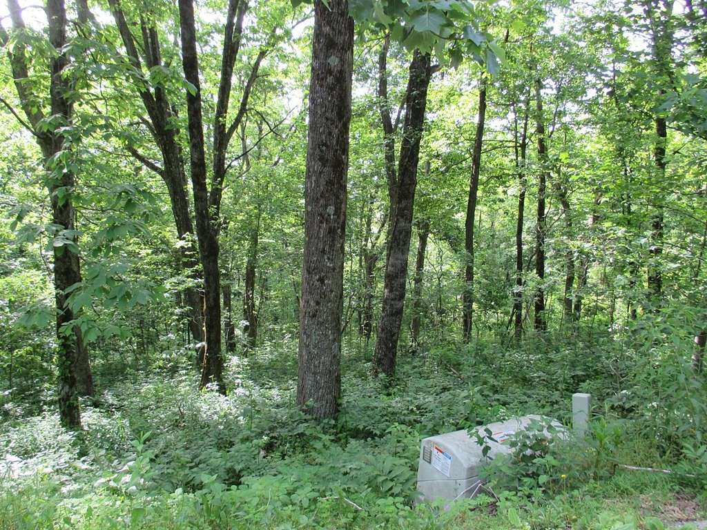 3.1 Acres of Residential Land for Sale in Jasper, Georgia