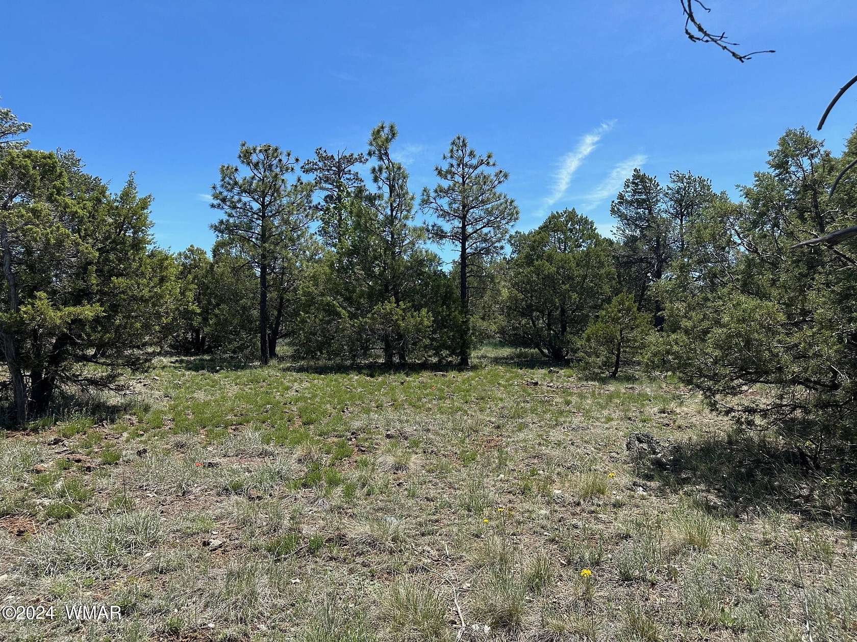 0.26 Acres of Residential Land for Sale in Lakeside, Arizona