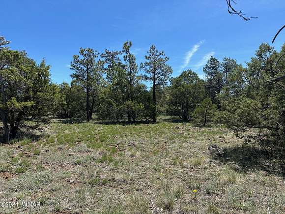 0.26 Acres of Residential Land for Sale in Lakeside, Arizona