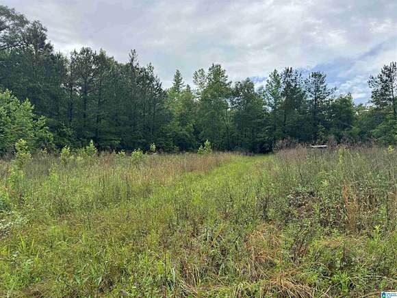 39.2 Acres of Land for Sale in Deatsville, Alabama