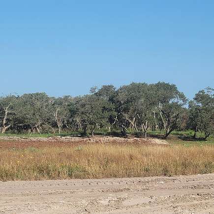 0.17 Acres of Residential Land for Sale in Rockport, Texas