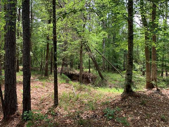 92.4 Acres of Land for Sale in McCall Creek, Mississippi