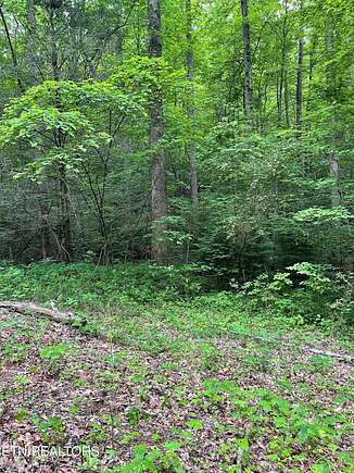 2.34 Acres of Residential Land for Sale in Townsend, Tennessee