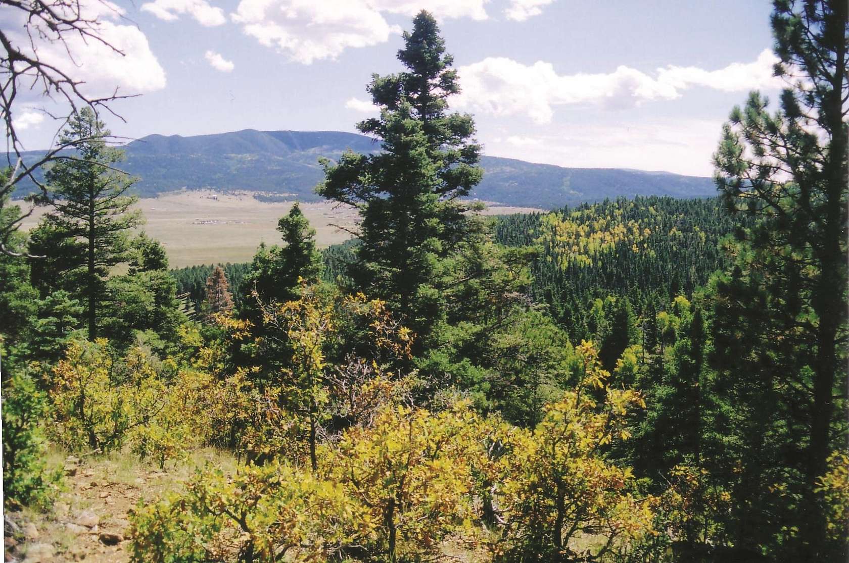 20 Acres of Land for Sale in Angel Fire, New Mexico