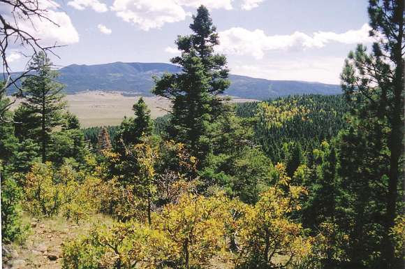 20 Acres of Land for Sale in Angel Fire, New Mexico