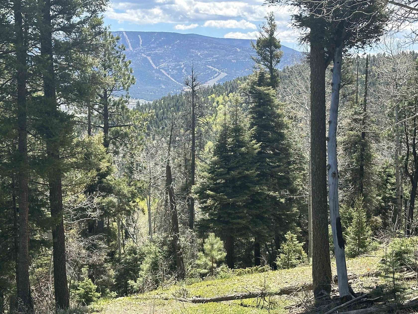 10 Acres of Land for Sale in Angel Fire, New Mexico
