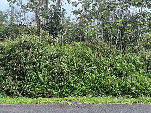1 Acre of Residential Land for Sale in Pahoa, Hawaii