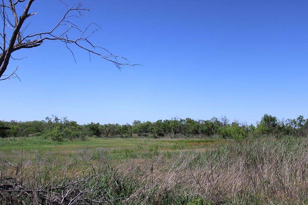 67 Acres of Recreational Land & Farm for Sale in Norton, Texas