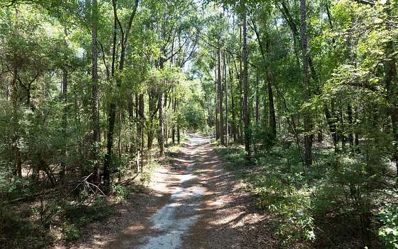 33 Acres of Recreational Land for Sale in White Springs, Florida