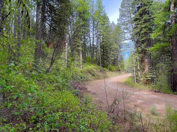 0.79 Acres of Land for Sale in Cascade, Idaho
