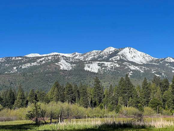 21.7 Acres of Land for Sale in Mount Shasta, California