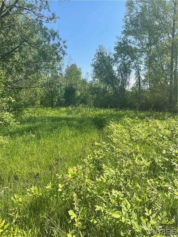 2 Acres of Residential Land for Sale in Alden, New York