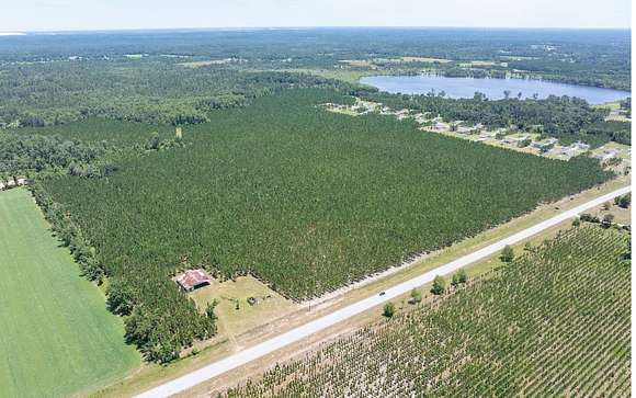 135 Acres of Agricultural Land for Sale in Live Oak, Florida