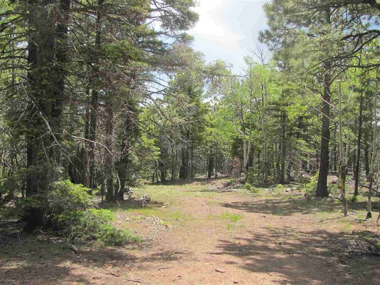 13.4 Acres of Agricultural Land for Sale in Angel Fire, New Mexico