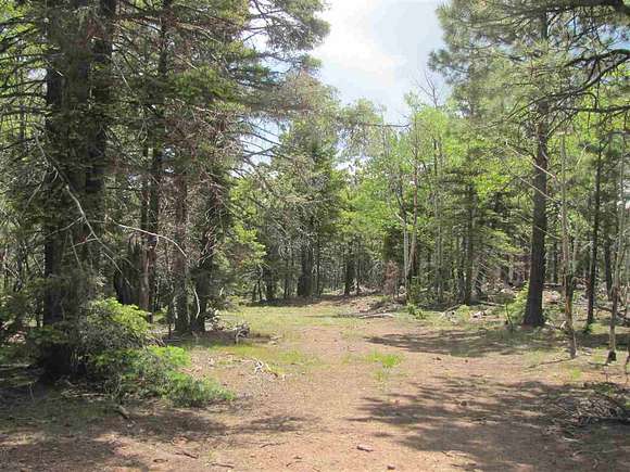 13.4 Acres of Agricultural Land for Sale in Angel Fire, New Mexico