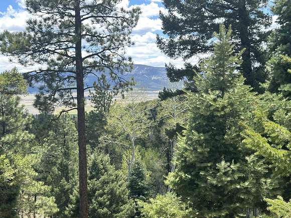 12.1 Acres of Land for Sale in Angel Fire, New Mexico