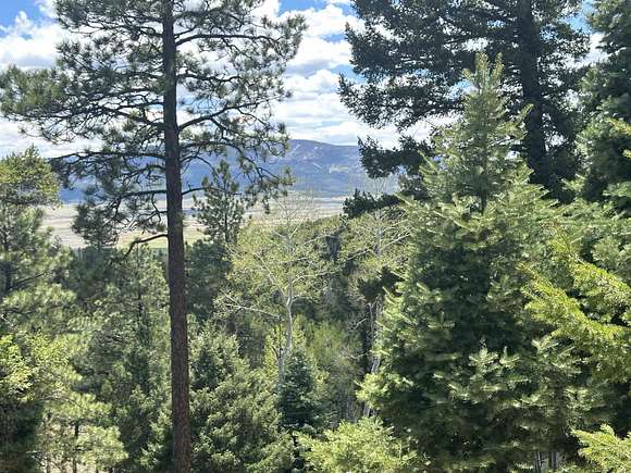 12.05 Acres of Land for Sale in Angel Fire, New Mexico