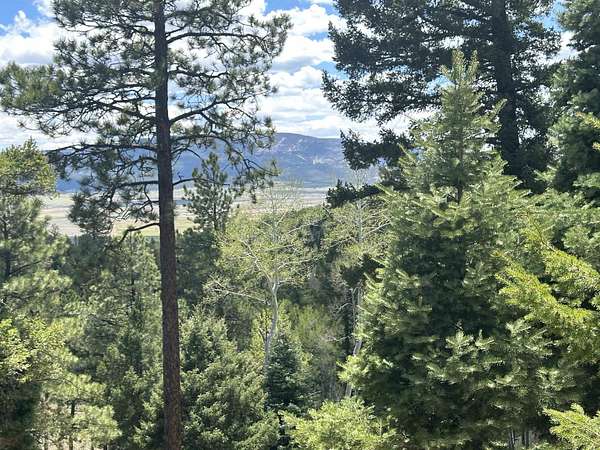 12 Acres of Land for Sale in Angel Fire, New Mexico