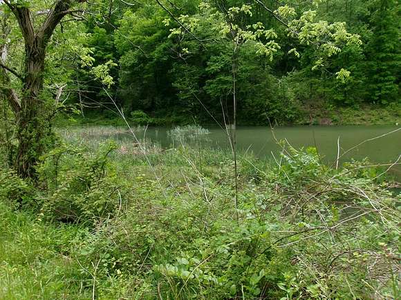 2.68 Acres of Residential Land for Sale in Anawalt, West Virginia