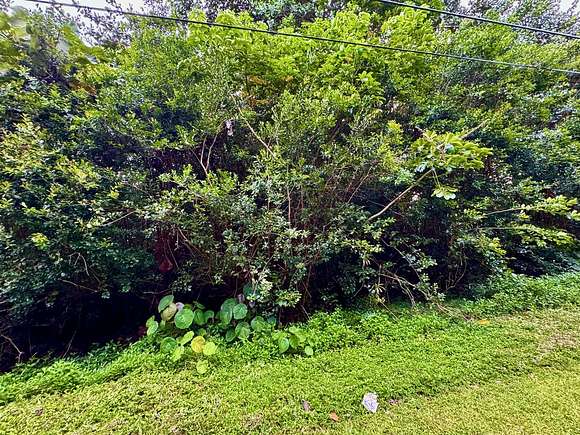 0.209 Acres of Residential Land for Sale in Pahoa, Hawaii