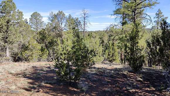 1.6 Acres of Residential Land for Sale in Overgaard, Arizona