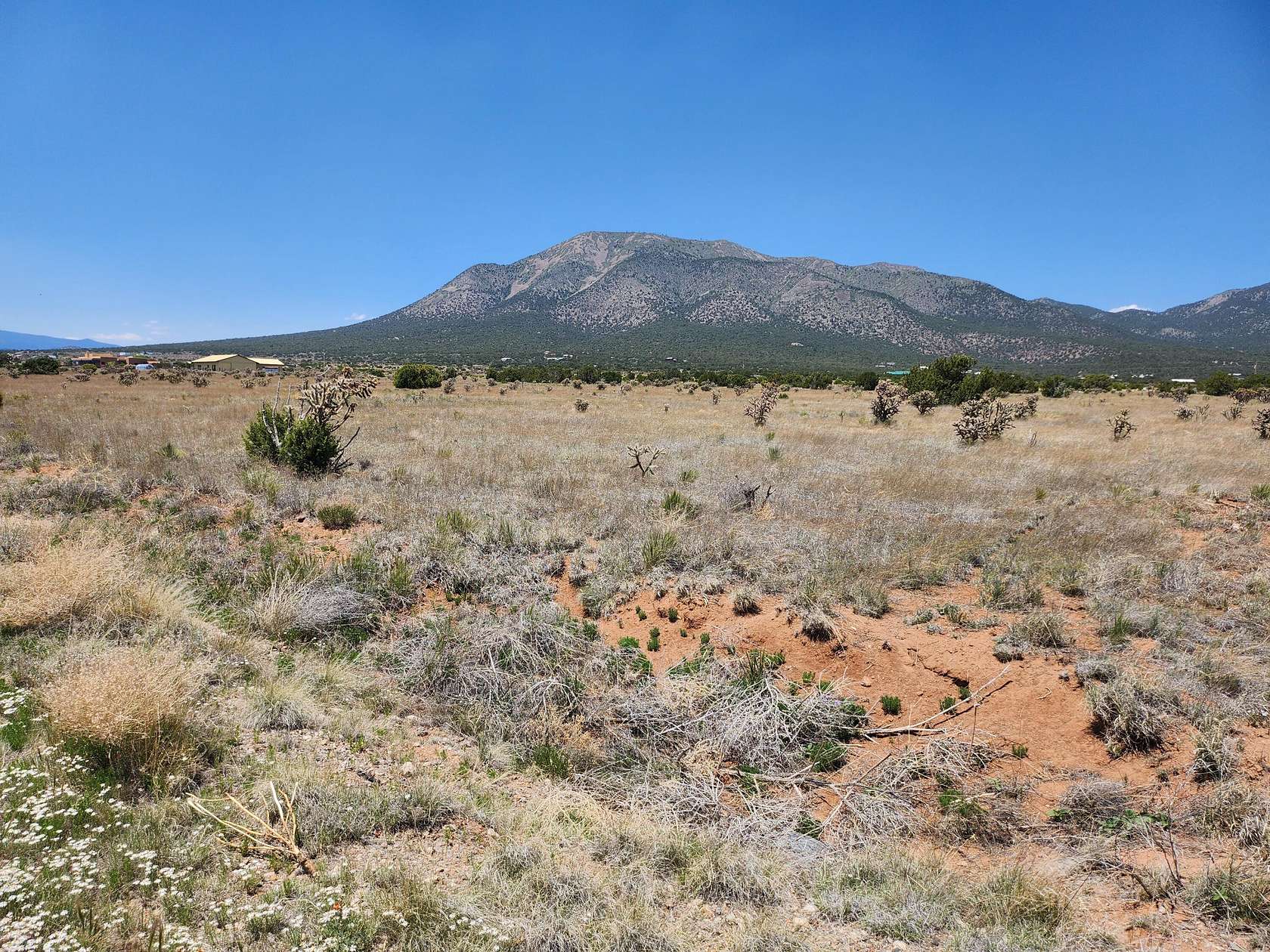 5.2 Acres of Residential Land for Sale in Edgewood, New Mexico