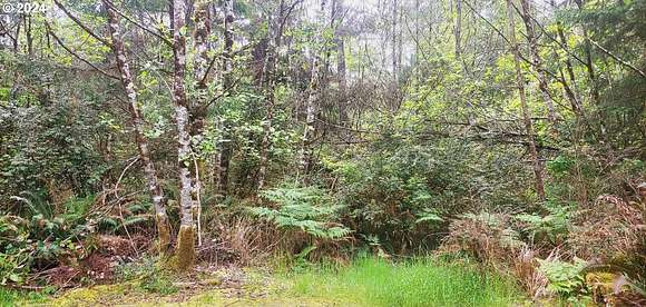0.23 Acres of Residential Land for Sale in Ocean Park, Washington
