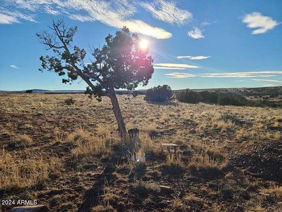 41.5 Acres of Recreational Land for Sale in Concho, Arizona