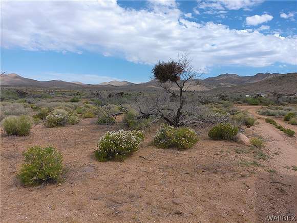 0.06 Acres of Residential Land for Sale in Chloride, Arizona