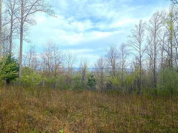 20.8 Acres of Agricultural Land for Sale in Galax, Virginia