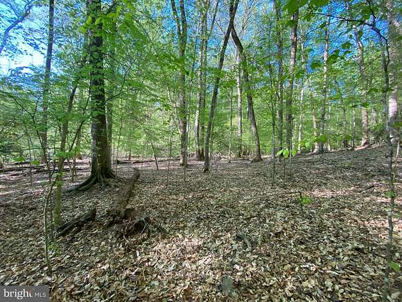 5.1 Acres of Land for Sale in Accokeek, Maryland